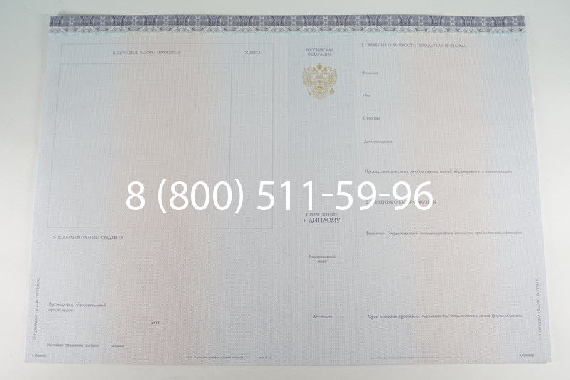 Диплом бакалавра (Киржач) 2014-2024 года в Березниках