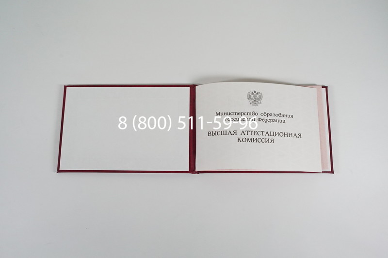 Диплом доктора наук 1995-2006 года в Березниках Диплом доктора наук 1995-2006 года в Березниках
