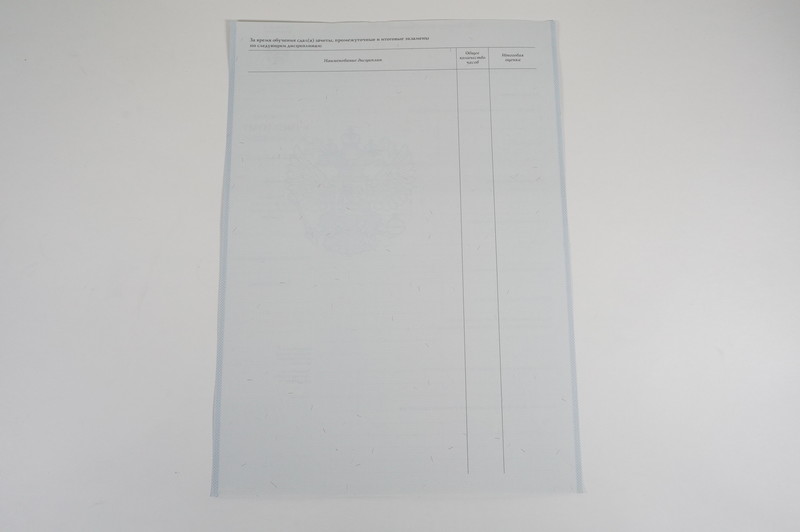 Диплом о начальном образовании 2007-2009 годов в Березниках Диплом о начальном образовании 2007-2009 годов в Березниках