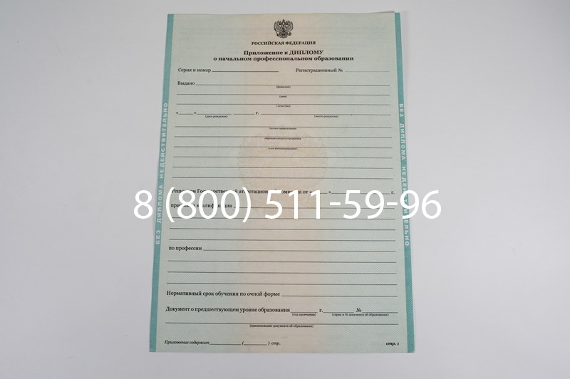 Диплом ПТУ 2014-2024 года в Березниках